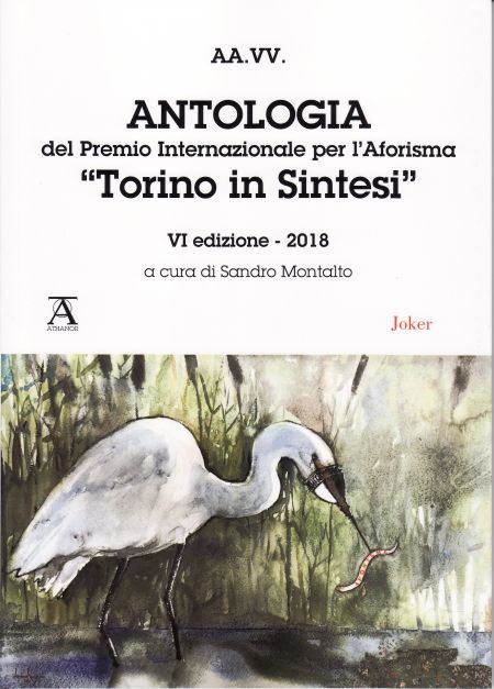 Antologia del Premio Internazionale per L'aforisma Torino in Sintesi. VI Edicione